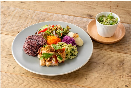 選べるワンプレート 夏野菜とアーモンドミルクヨーグルトのタンドリーチキン